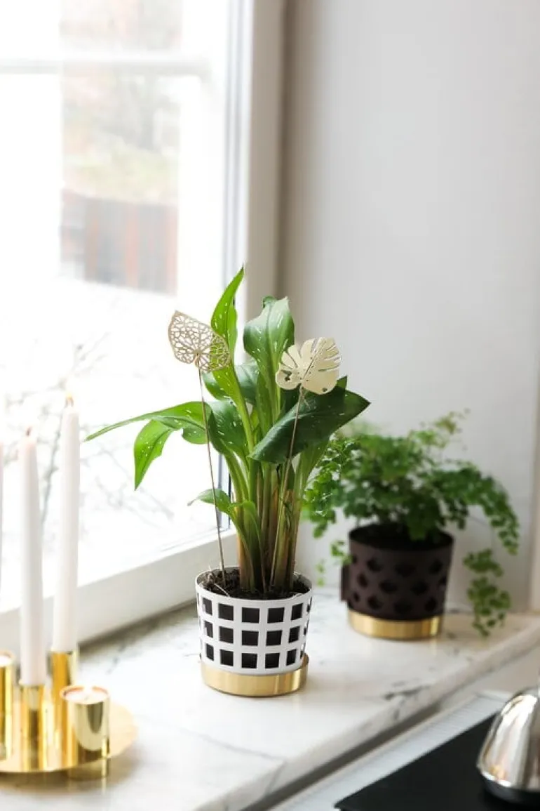 Klong Brass Leaves Water ornamental plant support, 2 pcs