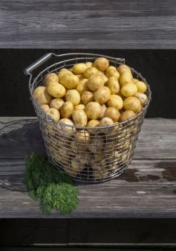 Korbo Bucket 24 wire basket, galvanized