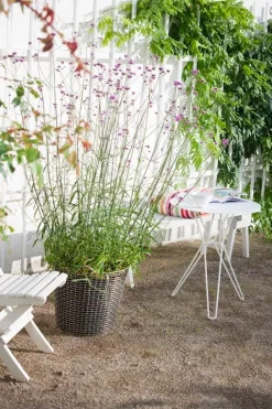 Korbo Classic 65 wire basket, acid proof stainless steel