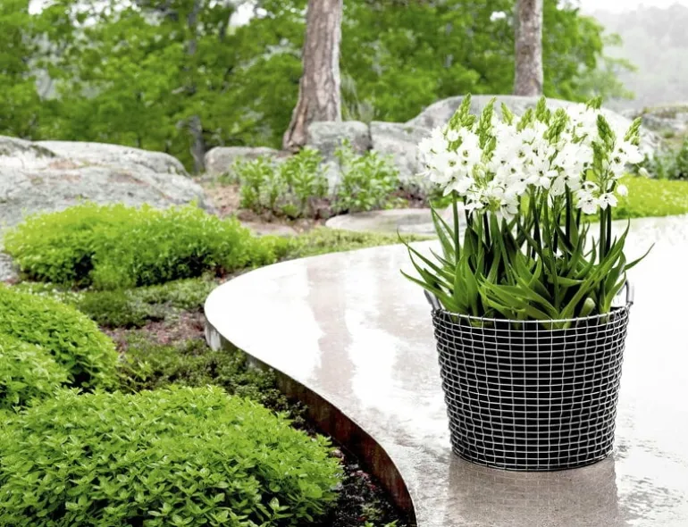 Korbo Classic 50 wire basket, acid proof stainless steel