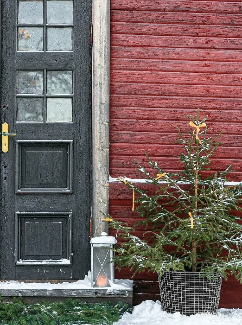 Korbo Classic 50 wire basket, acid proof stainless steel