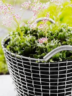 Korbo Classic 24 wire basket, galvanized