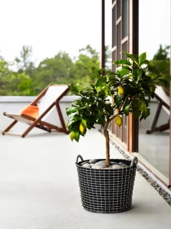 Korbo Classic 24 wire basket, galvanized