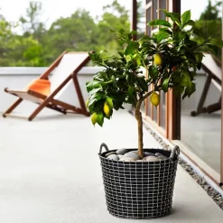 Korbo Classic 24 wire basket, galvanized