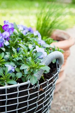 Korbo Classic 24 wire basket, galvanized