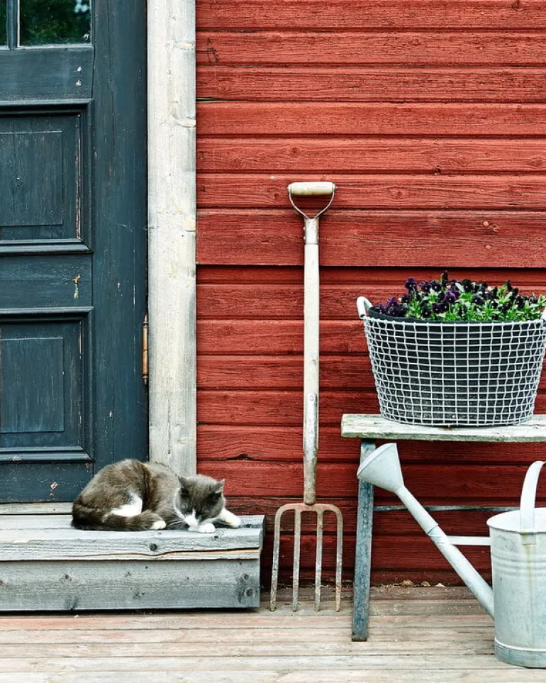 Korbo Classic 35 wire basket, galvanized