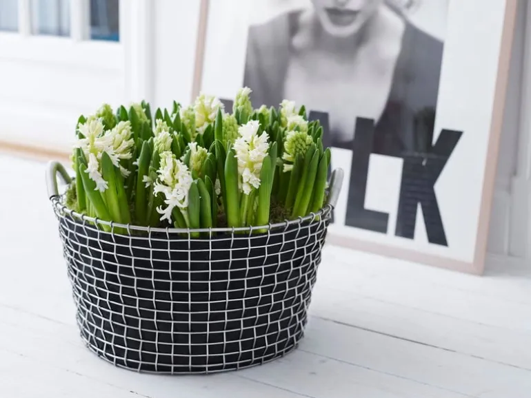 Korbo Classic 35 wire basket, galvanized