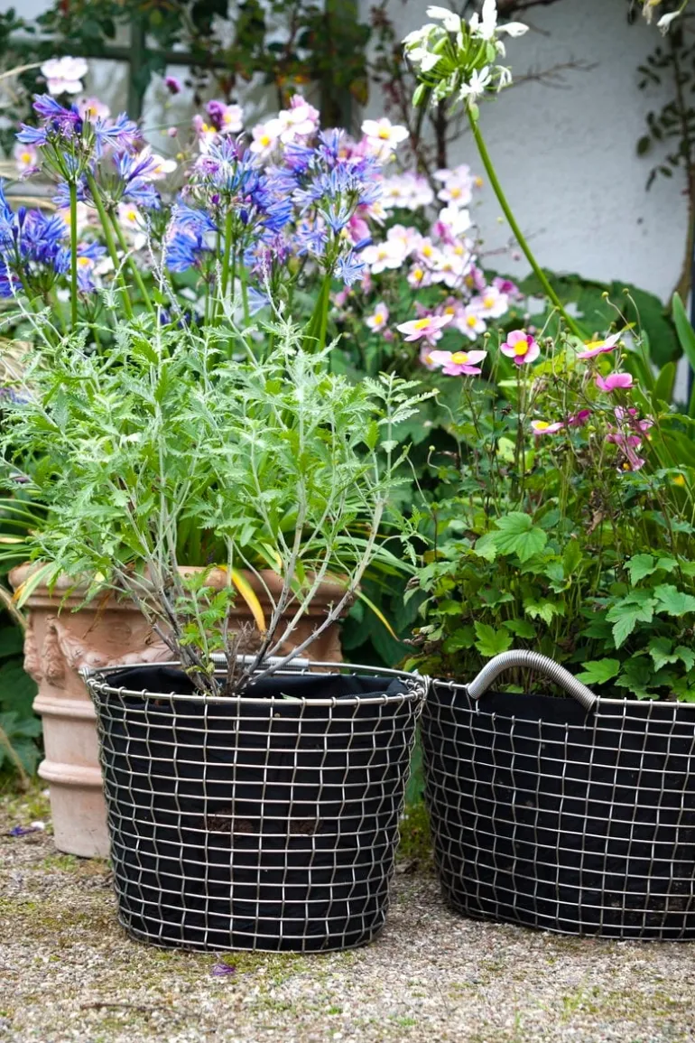 Korbo Classic 35 wire basket, galvanized