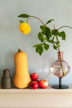 Kosta Boda Bod bottle, 230 mm, burgundy - cork