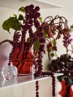 Kosta Boda Snowball votive candle holder, 60 mm, clear