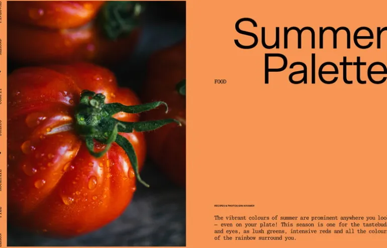 Laine Publishing Laine Magazine, issue 17