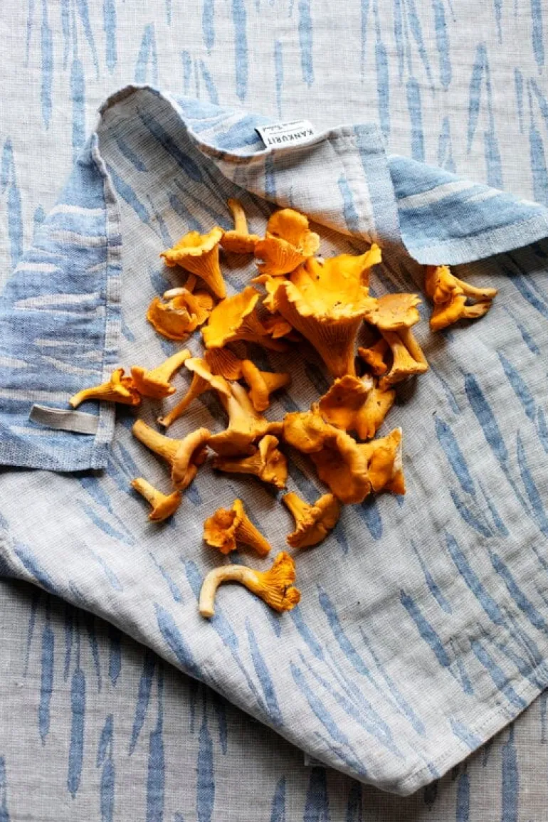 Lapuan Kankurit Osmankäämi towel/napkin, linen - blue