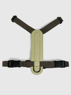 Masimalo Arch harness, light sage - khaki