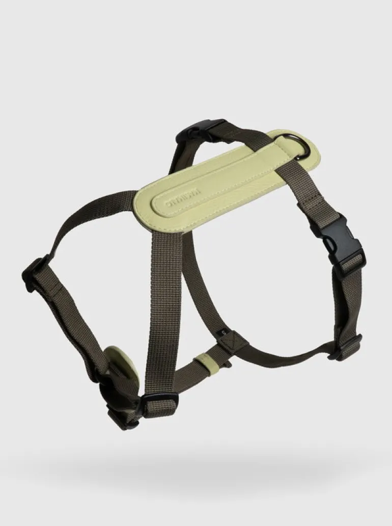 Masimalo Arch harness, light sage - khaki