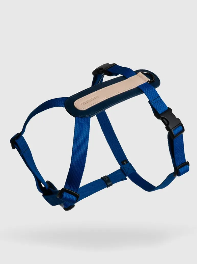 Masimalo Arch harness, navy - grandala blue