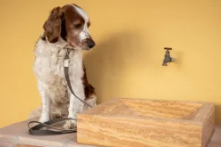 Masimalo Colour Block collar, light sage - khaki