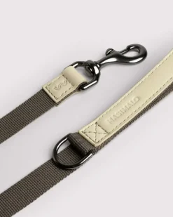 Masimalo Colour Block leash, light sage - khaki