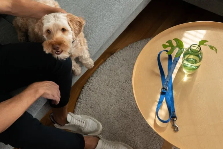 Masimalo Colour Block leash, navy - grandala blue