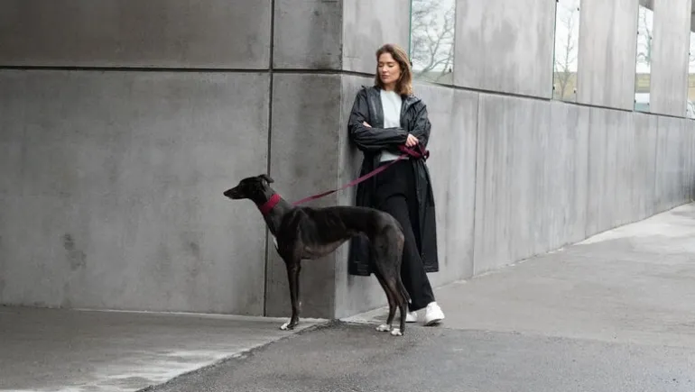 Masimalo 3D Knit collar, aubergine - lava