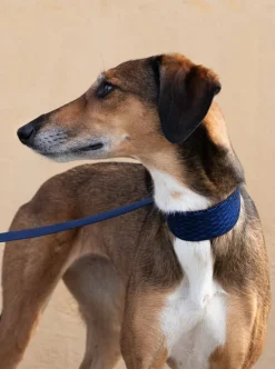 Masimalo 3D Knit collar, navy - royal blue