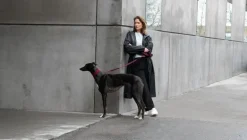 Masimalo 3D Knit leash, aubergine - lava