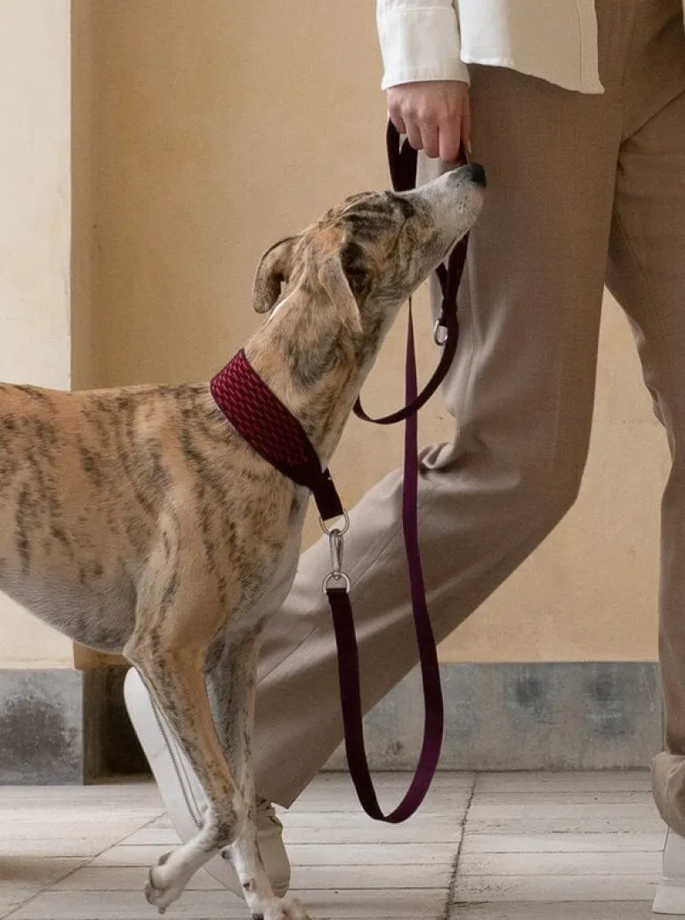 Masimalo 3D Knit leash, aubergine - lava