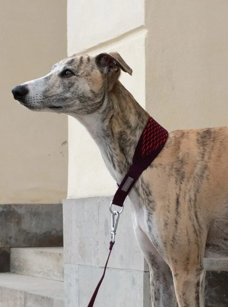 Masimalo 3D Knit leash, aubergine - lava