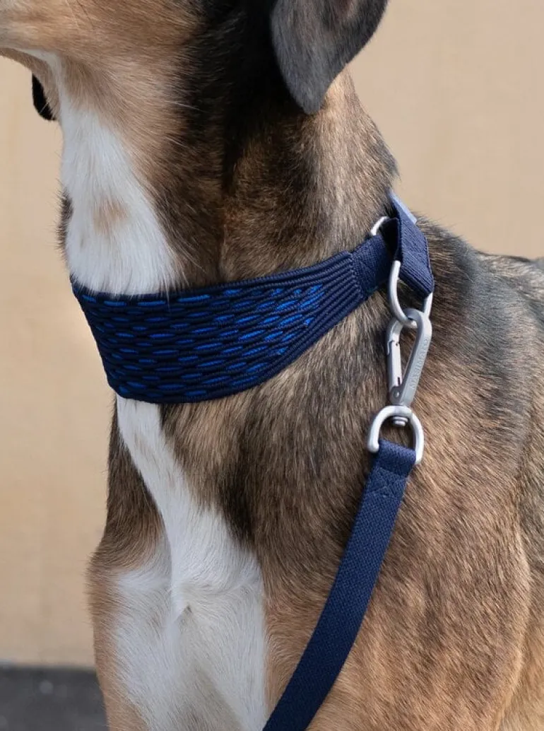 Masimalo 3D Knit leash, navy - royal blue