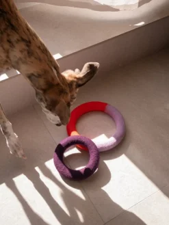 Masimalo Duo Circle dog toy, orange - purple
