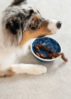 Masimalo Night Sky enamel bowl, 700 ml