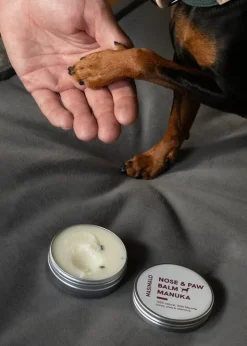 Masimalo Nose & Paw balm, 60 g, manuka