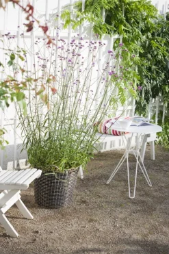 Massproductions Tio table, 60 cm, low, white