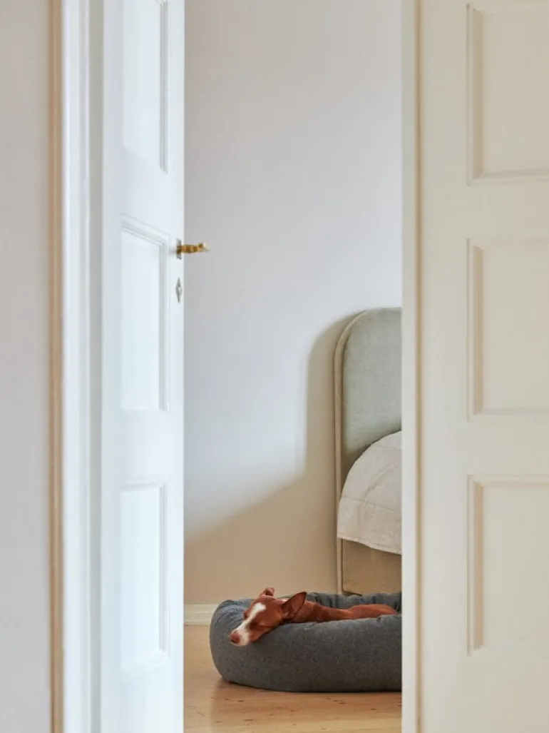 Matri Dog bed, M, Wooly, graphite