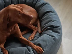 Matri Dog bed, S, Wooly, graphite