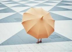 Mirlo Parasol, orange