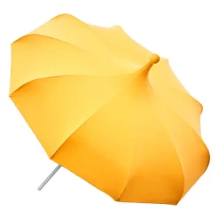 Mirlo Parasol, yellow