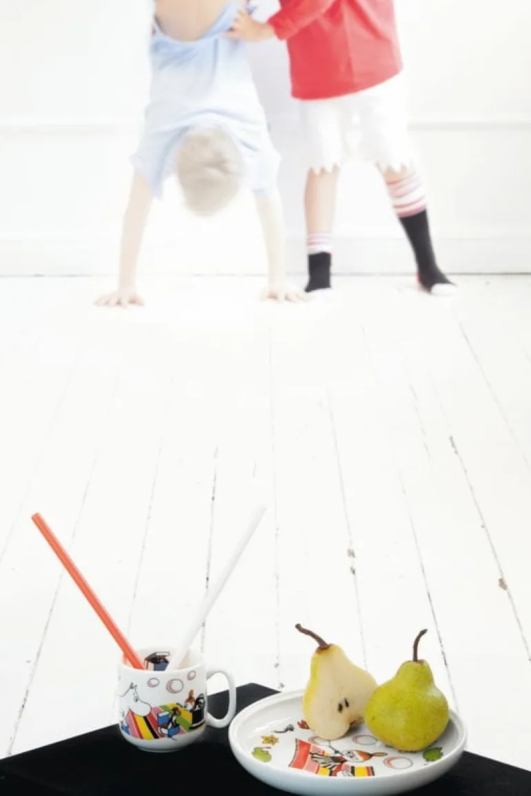 Moomin Arabia Moomin children's tableware, Little My