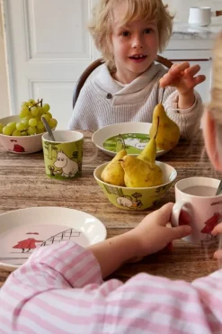 Moomin Arabia Moomin mug, Ninny, powder