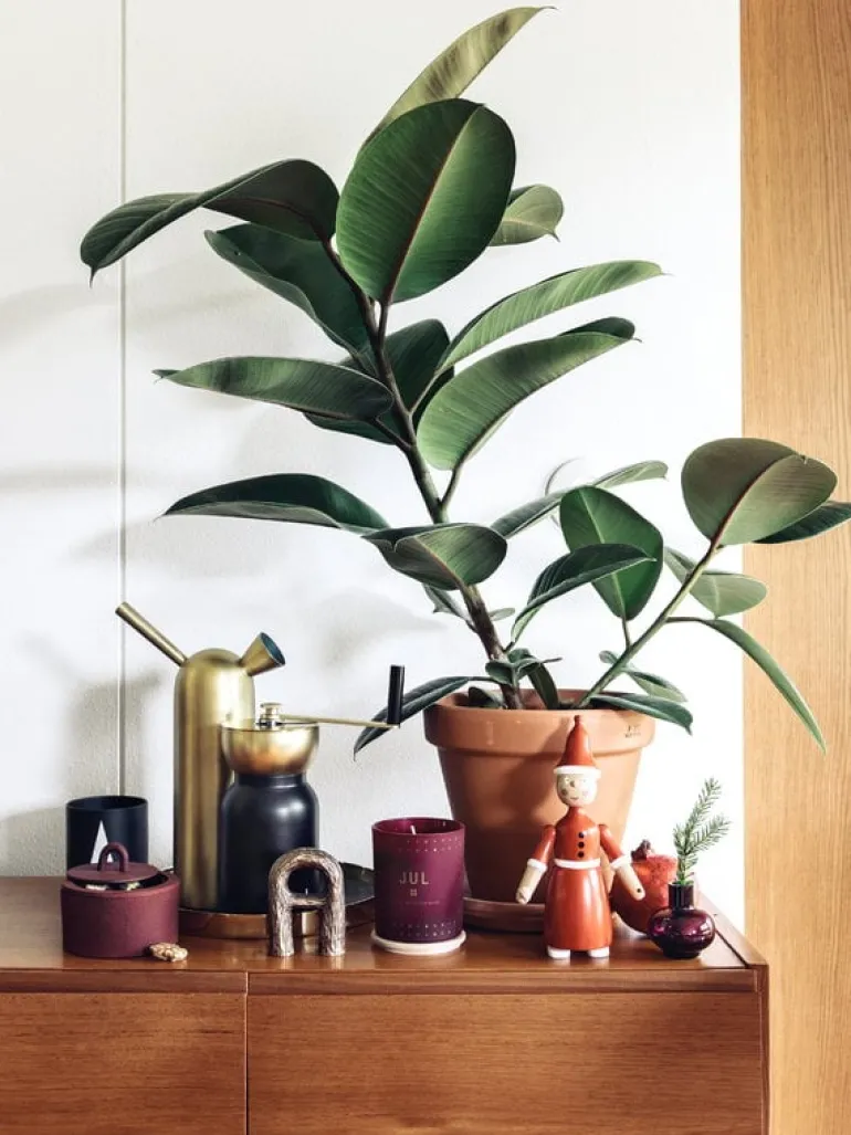 Nedre Foss Bokk bottle opener