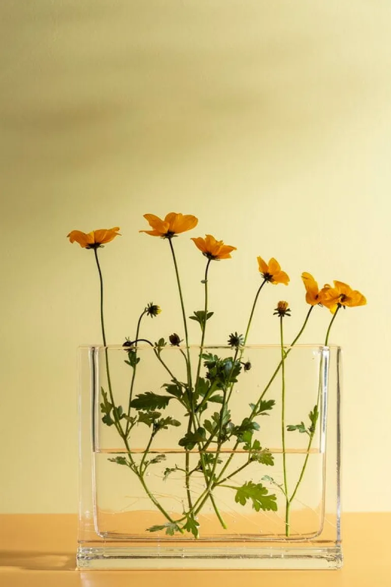 Nedre Foss Monoblokk vase, clear glass