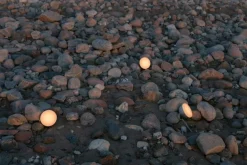 New Works Sphere portable lamp, dark bronze