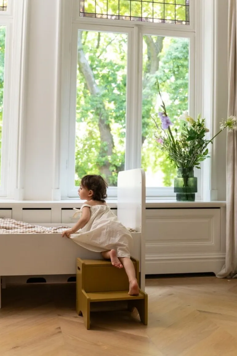 Nofred Step Up step ladder, curry