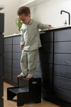 Nofred Step Up step ladder, black