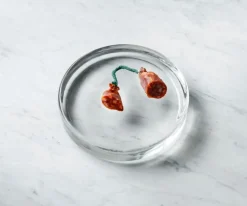 Normann Copenhagen Mass dish, 17 cm, clear