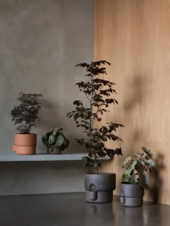 Northern Oasis flowerpot, medium, terracotta