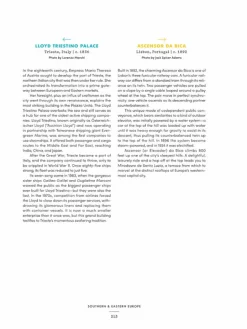 Orion Publishing Accidentally Wes Anderson