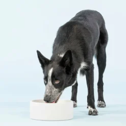 PAIKKA Cool bowl L, concrete