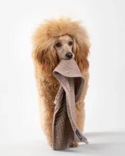 PAIKKA Drying towel, 30 x 50 cm, taupe