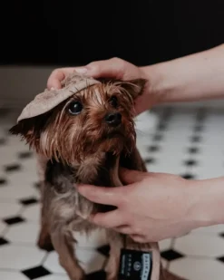 PAIKKA Drying towel, 30 x 50 cm, taupe