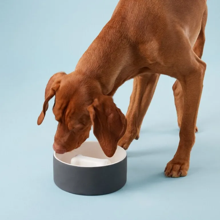 PAIKKA Slow Feed bowl L, black